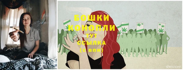 бошки Пестово