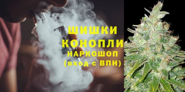 ешки Осинники
