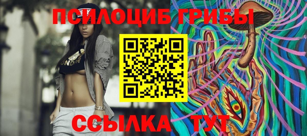 Псилоцибиновые грибы Magic Shrooms  сколько стоит  Родники 