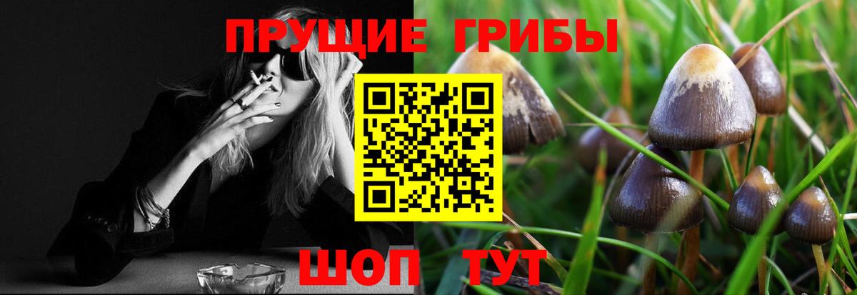 Псилоцибиновые грибы GOLDEN TEACHER  Вход с VPN  Родники  Галлюциногенные грибы мухоморы 
