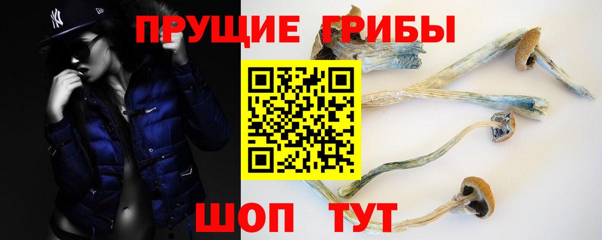 Галлюциногенные грибы MAGIC MUSHROOMS Родники